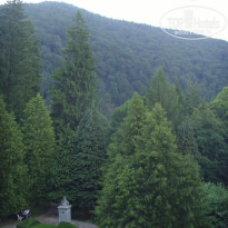 фото из отзыва ID 1433191