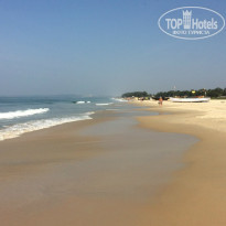 фото из отзыва ID 1433341