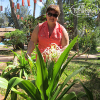 фото из отзыва ID 1433373