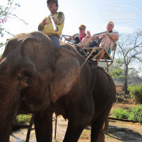 фото из отзыва ID 1433373