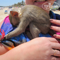 фото из отзыва ID 1433373