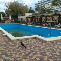 фото из отзыва ID 1433560