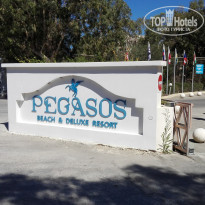 фото из отзыва ID 1433576