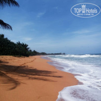 фото из отзыва ID 1433602