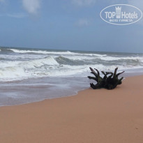 фото из отзыва ID 1433602