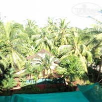 фото из отзыва ID 1433701