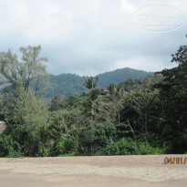 фото из отзыва ID 1433771