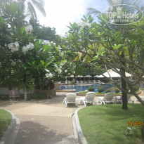 фото из отзыва ID 1433776