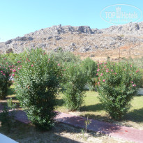 фото из отзыва ID 1433826