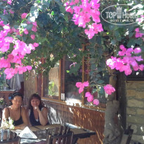 фото из отзыва ID 1432895