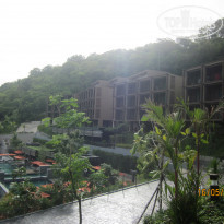 фото из отзыва ID 1433886