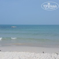 фото из отзыва ID 1433920