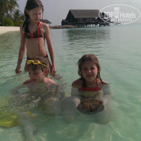 фото из отзыва ID 1433939