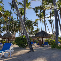 фото из отзыва ID 1433940