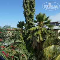 фото из отзыва ID 1433981