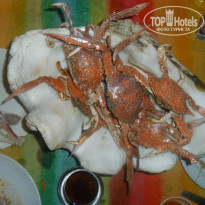 фото из отзыва ID 1434006