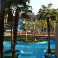 фото из отзыва ID 1431407