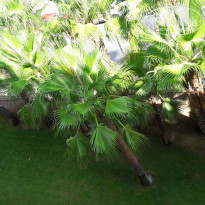 фото из отзыва ID 1434051