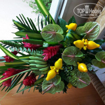 фото из отзыва ID 1434051