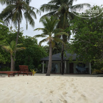 фото из отзыва ID 1434156