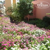 фото из отзыва ID 1434184