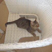 фото из отзыва ID 1432366