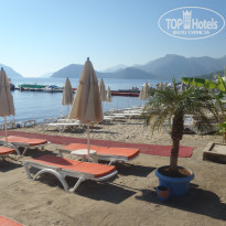 фото из отзыва ID 1432366