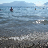 фото из отзыва ID 1432366