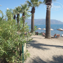 фото из отзыва ID 1432366