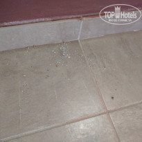 фото из отзыва ID 1434653