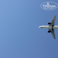 фото из отзыва ID 1434744