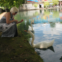 фото из отзыва ID 1434798