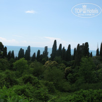 фото из отзыва ID 1434798