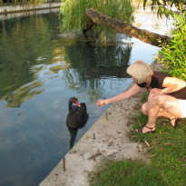 фото из отзыва ID 1434798