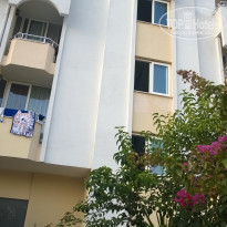 фото из отзыва ID 1434853