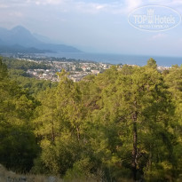 фото из отзыва ID 1434853