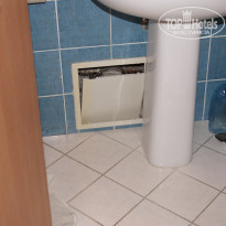 фото из отзыва ID 1435006