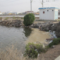 фото из отзыва ID 1435012