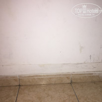 фото из отзыва ID 1435016