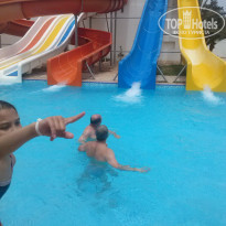 фото из отзыва ID 1435117