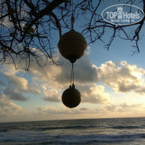 фото из отзыва ID 1435186