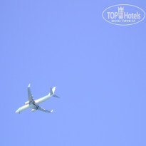 фото из отзыва ID 1435217