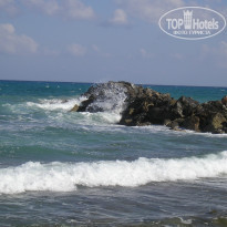 фото из отзыва ID 1435217