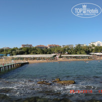 фото из отзыва ID 1435412