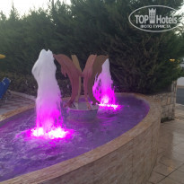 фото из отзыва ID 1435469