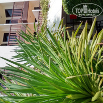 фото из отзыва ID 1435472