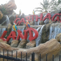 фото из отзыва ID 1435548