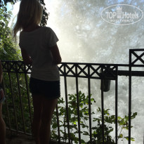 фото из отзыва ID 1435644