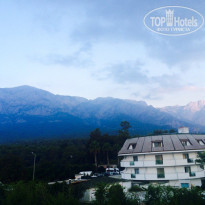 фото из отзыва ID 1435910