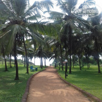 фото из отзыва ID 1435954